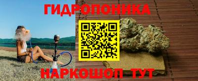 прущие грибы Наро-Фоминск