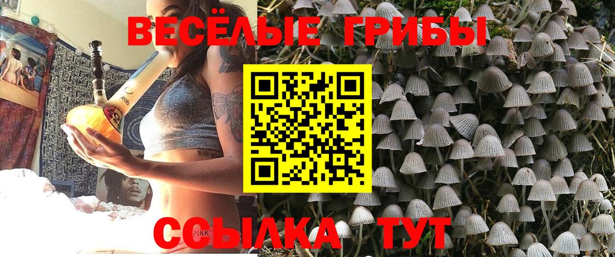 Псилоцибиновые грибы мухоморы  Псилоцибиновые грибы мухоморы  сколько стоит  Тихорецк  Вход с VPN 