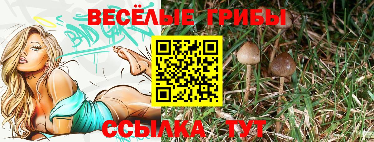 Галлюциногенные грибы прущие грибы Тихорецк
